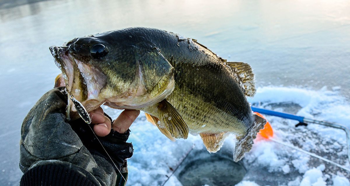 Winter Bass Fishing