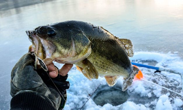 Winter Bass Fishing