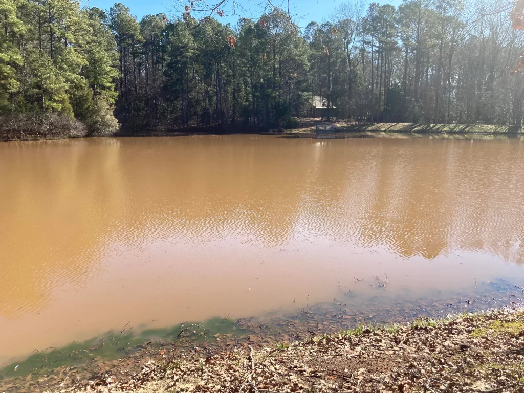 an image of muddy lake water