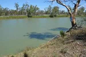 an image of a lake with stained water