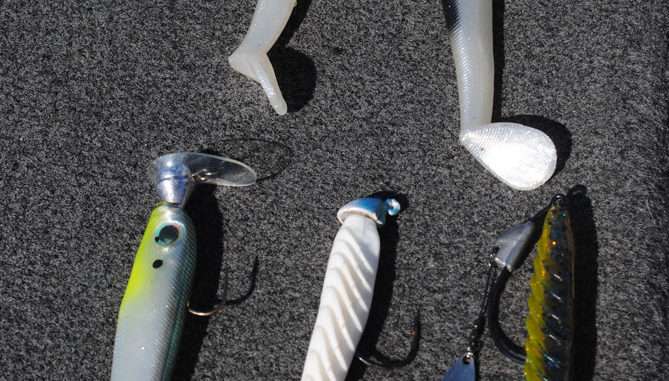 an image of swim baits and rigging options