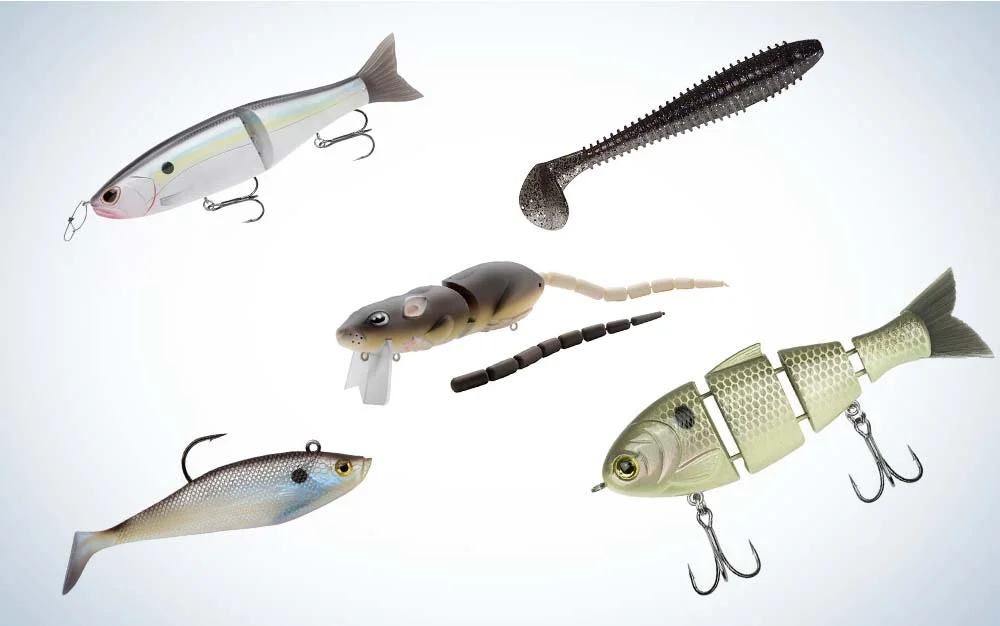 an image of the different types of swim baits