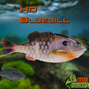 Berkley PowerBait Gilly HD Bluegill color