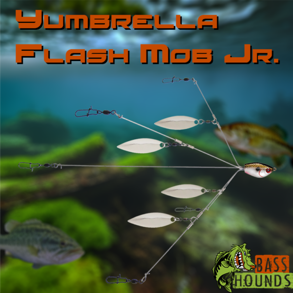 Yum Yumbrella Flash Mob Jr.