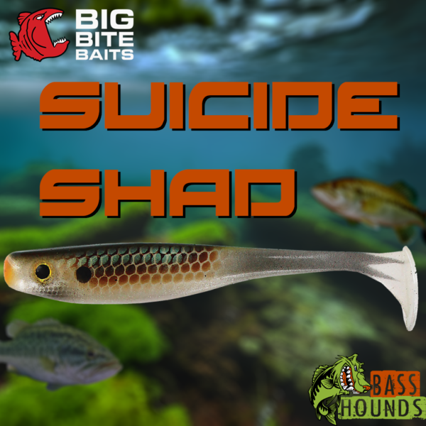 Big Bite Baits Suicide Shad