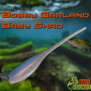 Bobby Garland Baby Shad